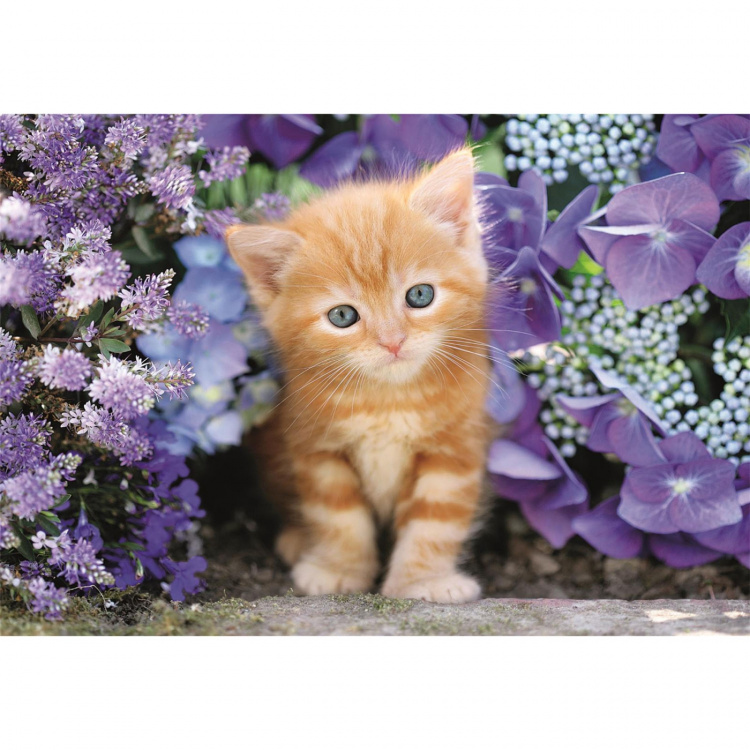 Clementoni Puzzle 500 Pcs CB High Quality Collection Ginger Cat