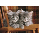 Clementoni Puzzle 500 Pcs CB High Quality Collection Kittens Clementoni Puzzle 500 Pcs CB High Quality Collection Kittens