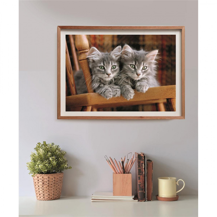 Clementoni Puzzle 500 Pcs CB High Quality Collection Kittens Clementoni Puzzle 500 Pcs CB High Quality Collection Kittens