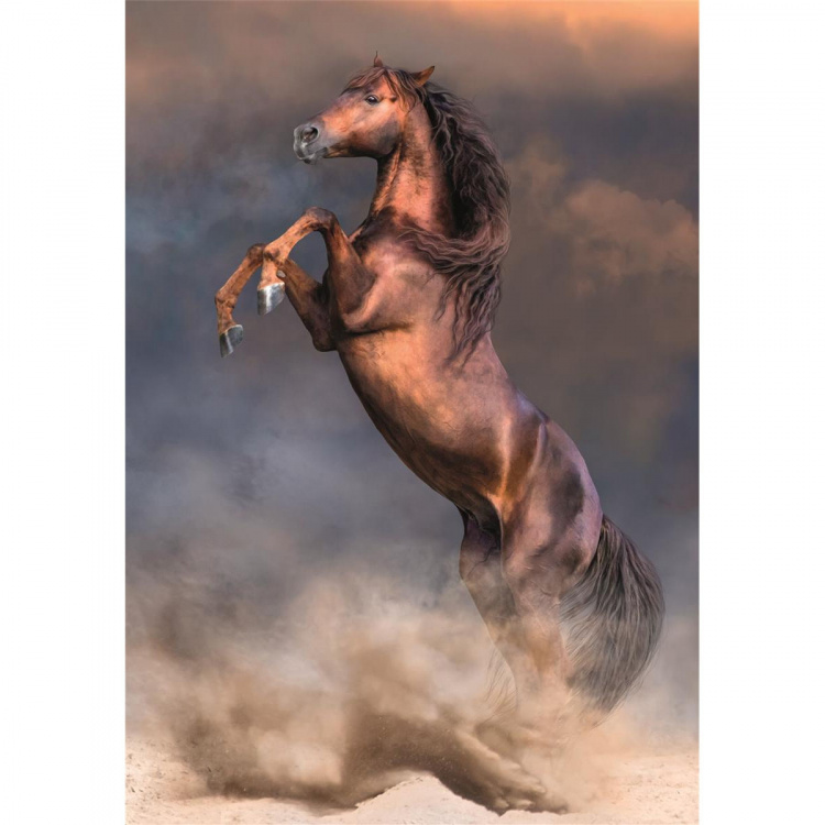 Clementoni Puzzle 500 Pcs CB High Quality Collection Wild Red Stallion Clementoni Puzzle 500 Pcs CB High Quality Collection Wild Red Stallion