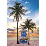 Clementoni Puzzle 500 Pcs CB High Quality Collection Miami Beach Florida