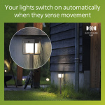 Philips Blaise Piedestal Solcell LED 250/20lm Svart