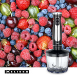 MELISSA Stick mixer with chopper whisk cup 600W Black / Stainless Steel