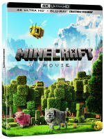 A MINECRAFT MOVIE A MINECRAFT MOVIE