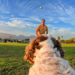 Insta360 GO 3/GO 3S Pet Harness Mount Size S