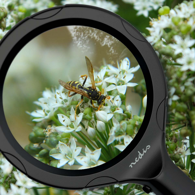 Nedis Handheld Magnifiers | Lens strength: 4 Diopter | 10000 K | 0.05 W | 9 lm | Black
