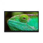 Lenco 24 inch HD LED TV with DVB-T2 DVB-C DVB-S2 12V Black Lenco 24 inch HD LED TV with DVB-T2 DVB-C DVB-S2 12V Black