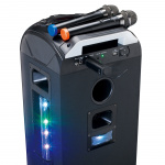 Lenco Set of 2 wireless microphones with portable battery powered receiver Lenco Set of 2 wireless microphones with portable battery powered receiver