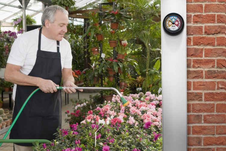 Alecto Analog hygrometer Black Alecto Analog hygrometer Black