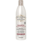 Alfaparf Milano Il Salone Milano Magnificent Shampoo 500 ml