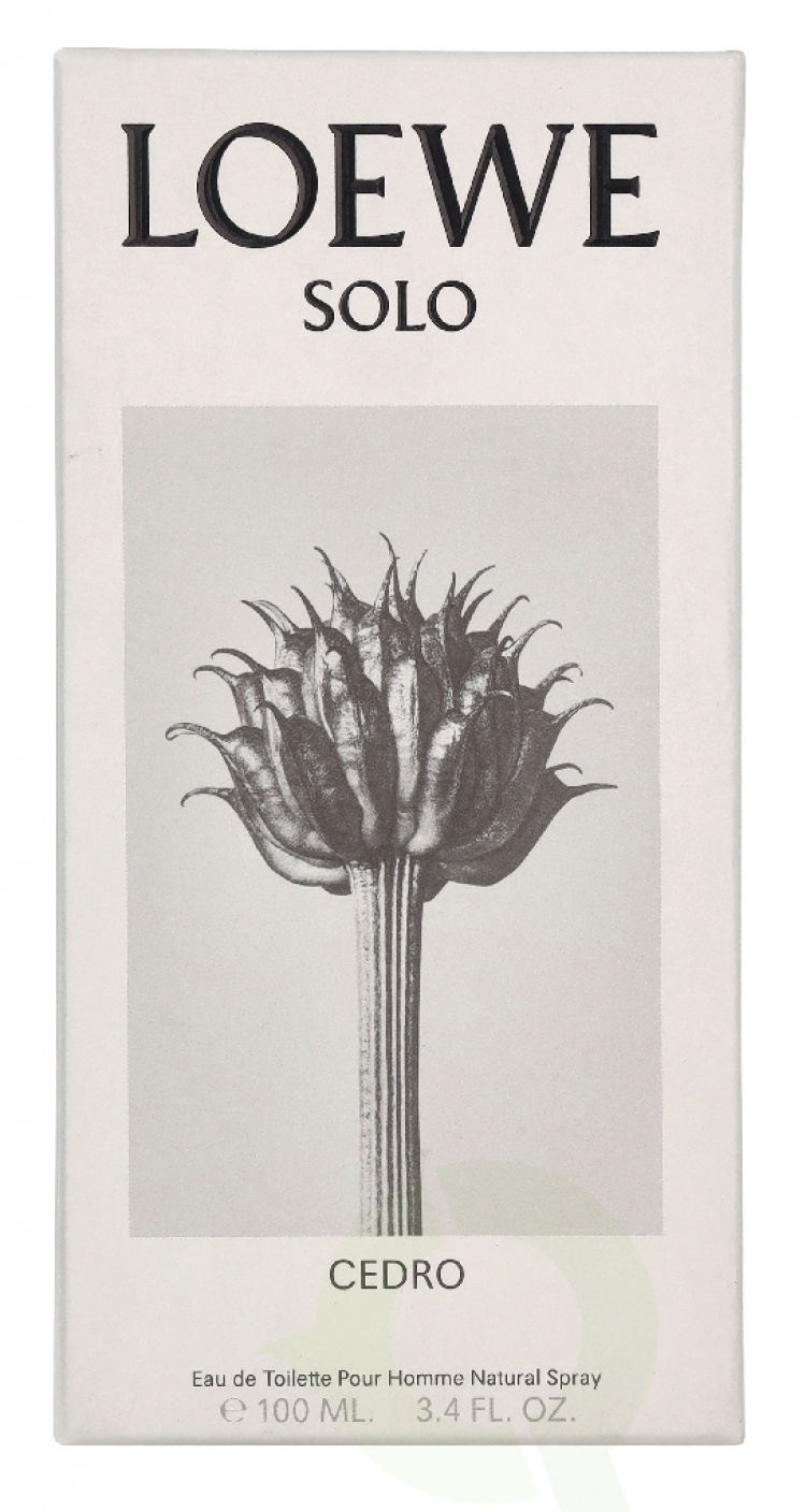 Loewe Solo Cedro Pour Homme Edt Spray 100 ml
