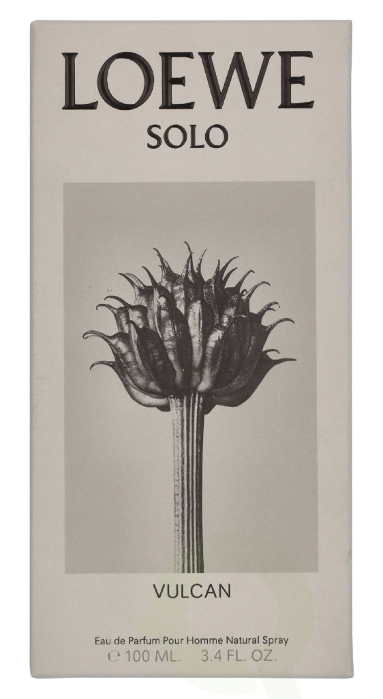 Loewe Solo Vulcan Pour Homme Edp Spray 100 ml