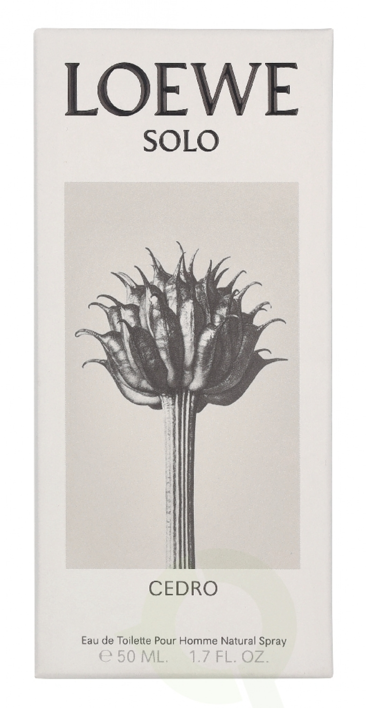 Loewe Solo Cedro Pour Homme Edt Spray 50 ml
