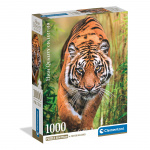 Clementoni Puzzle 1000 Pcs CB The Hunter\'s Path