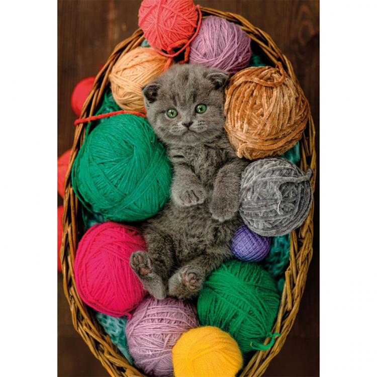 Clementoni Puzzle 500 Pcs CB High Quality Collection Fluffy Kitten