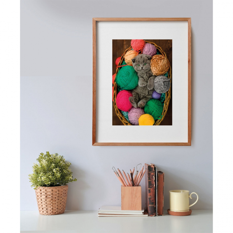 Clementoni Puzzle 500 Pcs CB High Quality Collection Fluffy Kitten