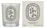 Diptyque Verveine Scented Candle 70 g