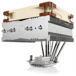 Noctua The