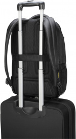 Targus CityGear 15.6–17.3