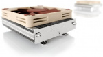 Noctua The