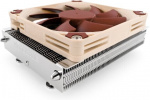 Noctua The