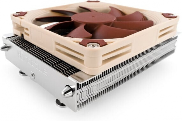 Noctua The