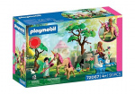 Playmobil Fairies\' Day Trip (72067)