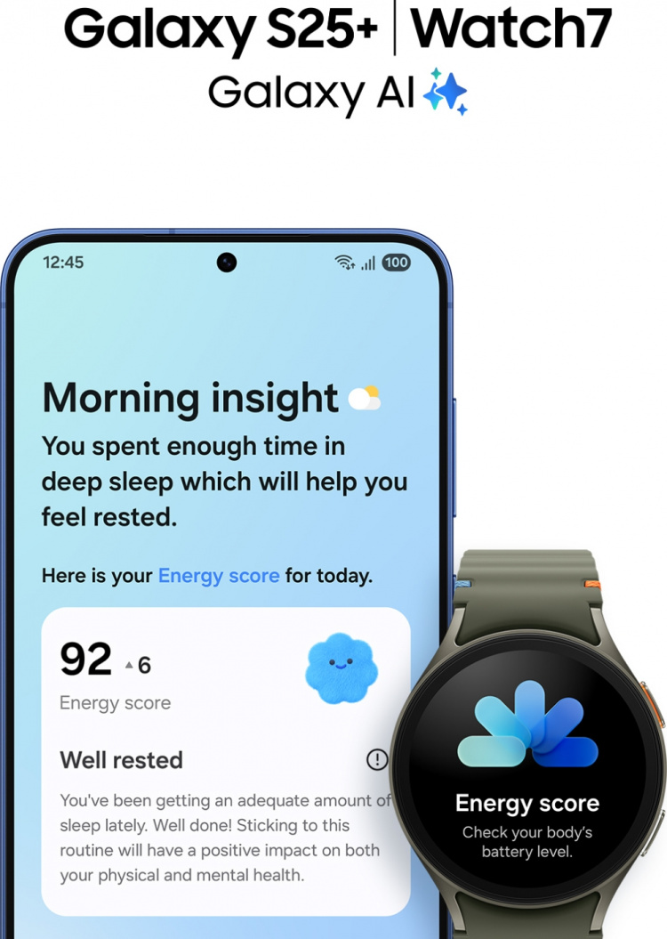 Samsung Galaxy S25+ 5G, 256/12 GB, Silver Shadow
