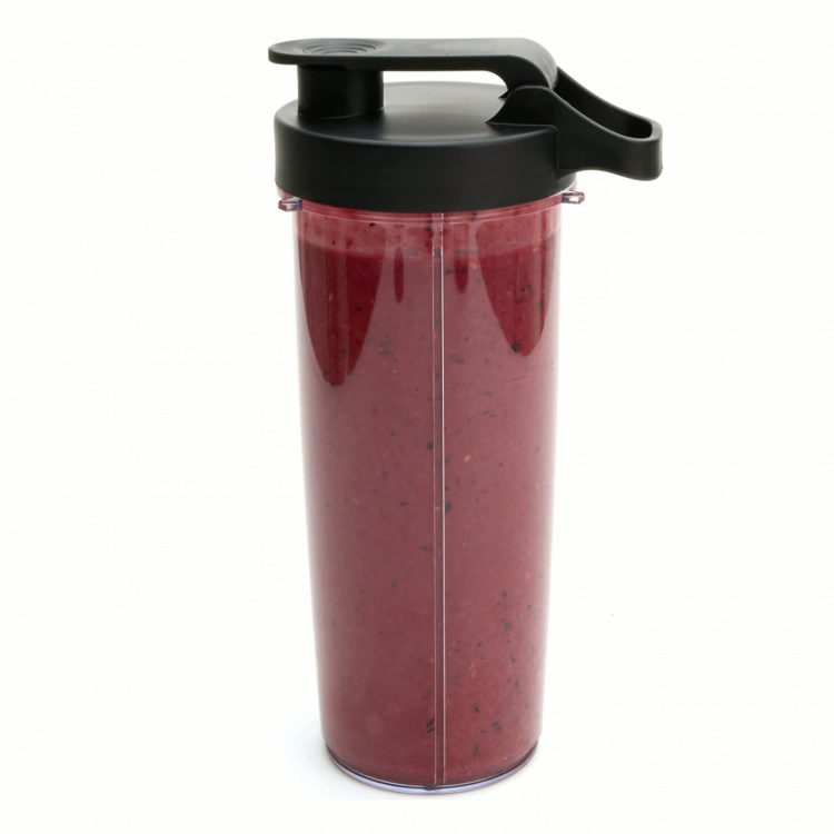Champion Smoothie Maker Power 600W 800ml SM400 Rostfritt stål