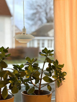 Aneta Fönsterlampa EPSILON 15318-02 Aneta