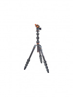 3 Legged Thing Pro 2.0 Albert & AirHed Pro Gr