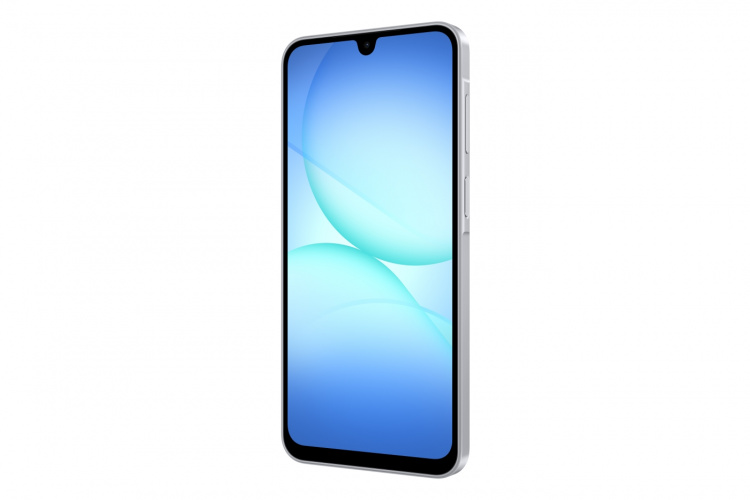 Samsung Galaxy A17 LTE 128 GB - Gray Samsung